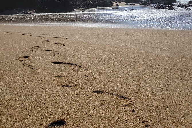 Sayulita Surfer Beach Town and Zarandeado With Seafood Grill - Highlights and Activities