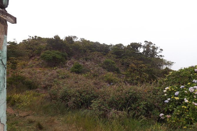 Scenic Blue Mountain Hike From Kingston - Reviews and Feedback