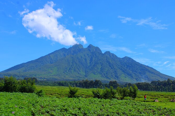 Scenic Walk Around Volcanoes - What to Expect on the Hike
