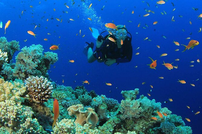Scuba Diving Experience Tour From Side - Cancellation Policy