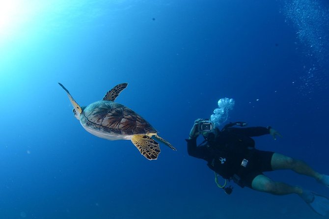 Scuba Diving From Bodrum - Meeting and Pickup