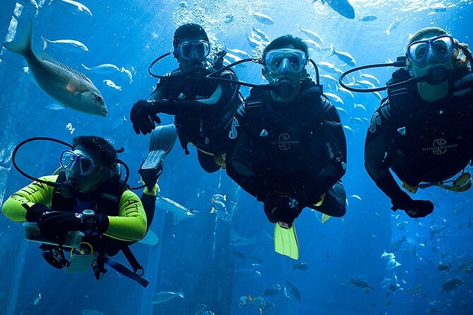 Scuba Diving in Fujairah With Private Transfers - Pricing and Booking Details