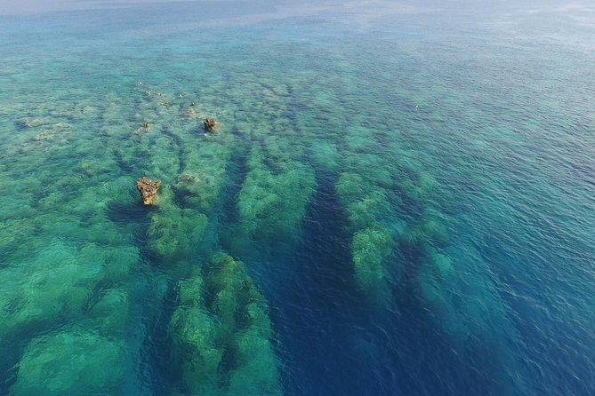 Scuba Diving in Kas for Certified Divers Incl. All Equipments - Meeting Point and Pickup