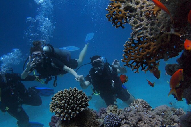 Scuba Diving Tour in Antalya - Host Response