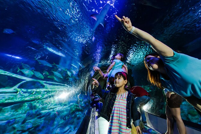 SEA LIFE Aquarium Minnesota Admission Ticket at Mall of America - Visitor Duration and Experience