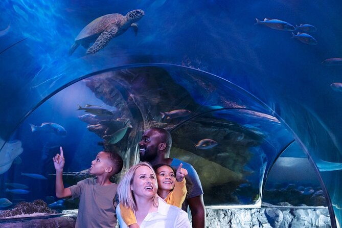 SEA LIFE Orlando Aquarium - Accessibility and Visitor Amenities