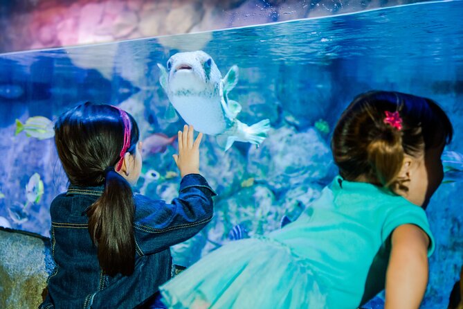 SEA LIFE San Antonio Admission Ticket - Location and Meeting Point
