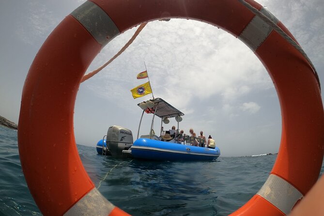 SEA SAFARI, Dolphins, Whales, Snorkeling, Snack and Drink, 2 H Speedboat - Tour Duration and Pricing