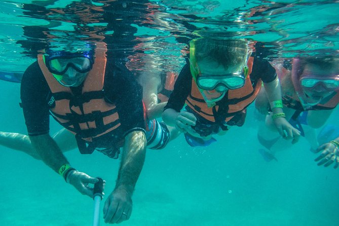 Sea Turtle Snorkeling Ecofriendly Tour From Cancun & Riviera Maya - Customer Feedback