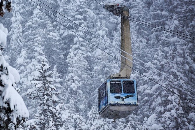 Self-Guided Alaska Wildlife Center and Turnagain Arm Tour W/Alyeska Tram - Exploring the Wildlife Center