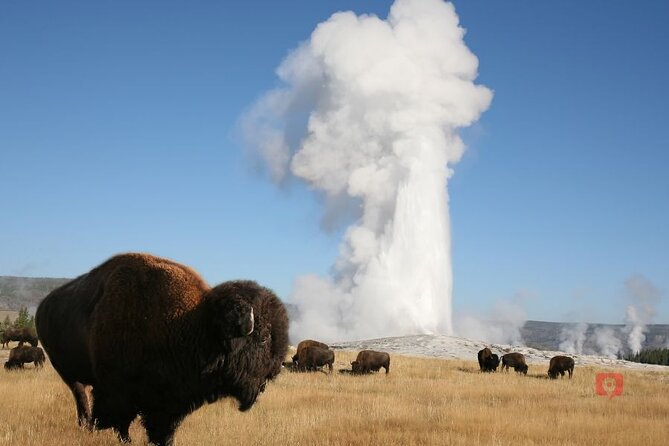 Self-Guided Audio Driving Tour in Yellowstone and Grand Teton - User Experiences