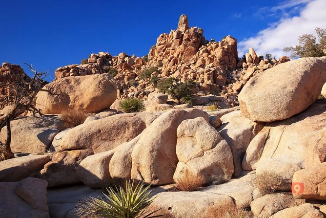 Self-Guided Driving Audio Tour in Joshua Tree National Park - Customer Support