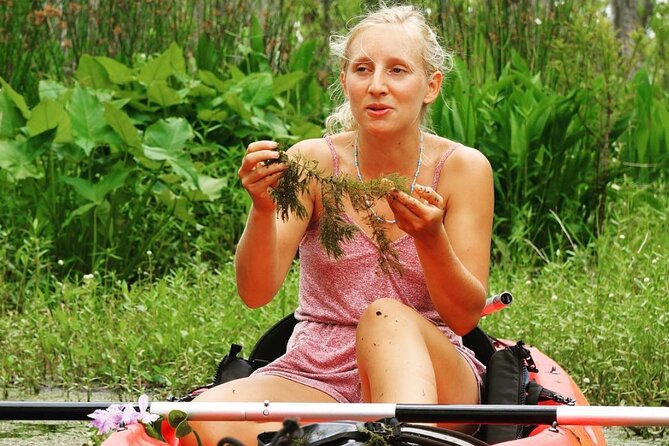 Self Guided Kayak Bayou Swamp Tour - Booking Information