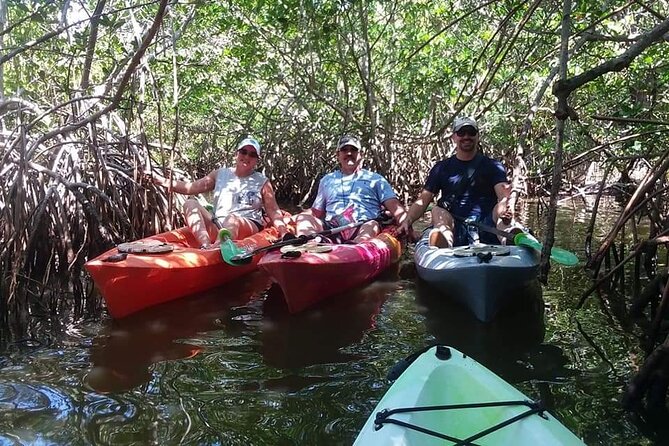 Self-Guided Kayaking Manatee and Dolphin Tour - Customer Reviews and Feedback