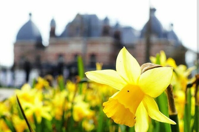 Self Guided Private 2 Hour Route in Arnhem City - Pricing and Cancellation Policy