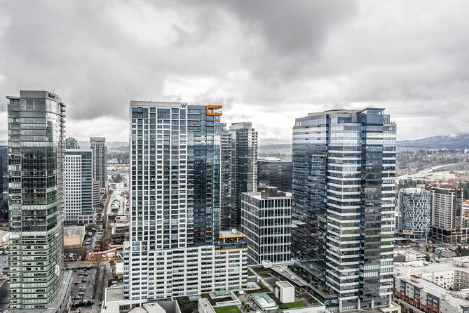 Self-Guided Scavenger Hunt: Beautiful Views of Bellevue - Accessibility and Accommodations