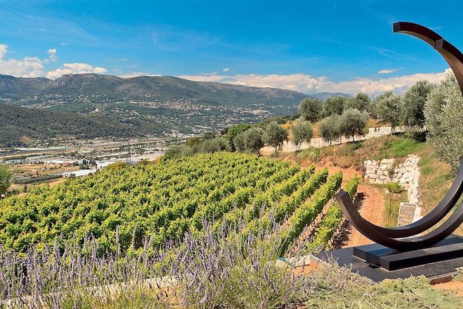 Semi Private Organic Wine & Food Tasting Tour (From Nice) - Accessibility and Additional Information