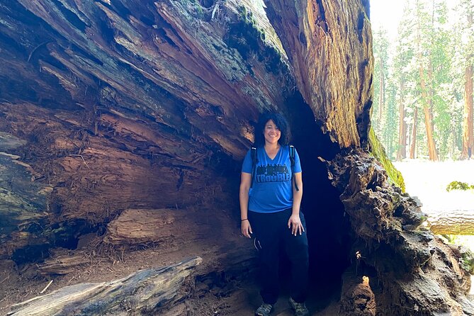 Semi Private Tour to Sequoia National Park With Lunch - Sum Up