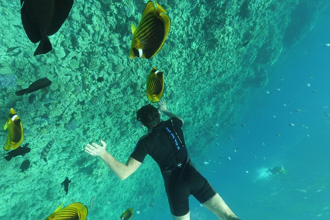 Semi-Submarine, Snorkeling Sea Trip With Transfer – Hurghada - Cancellation and Reservations