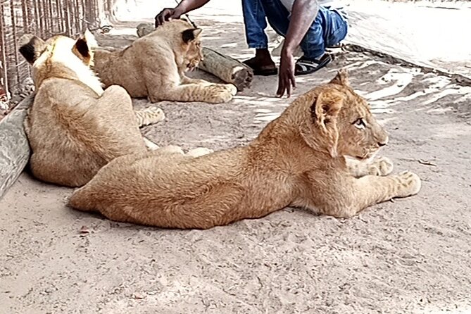 Senegal Private Tour 8 Days 7 Nights-Minimum 2 People to Book It - Booking Requirements