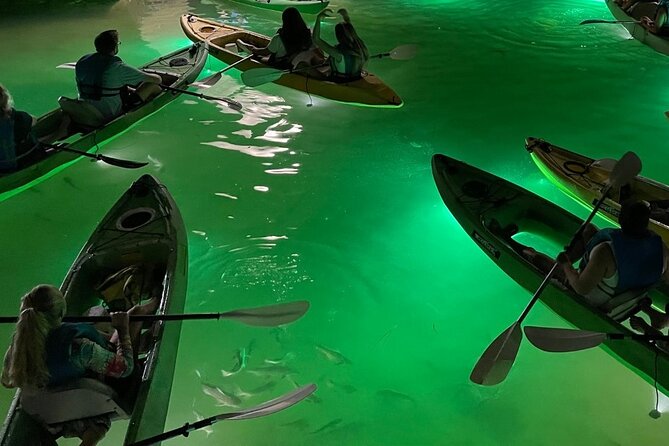 Sharkeys Glass Bottom Fish Feeding LED Night Tour in Clearwater - Things To Known
