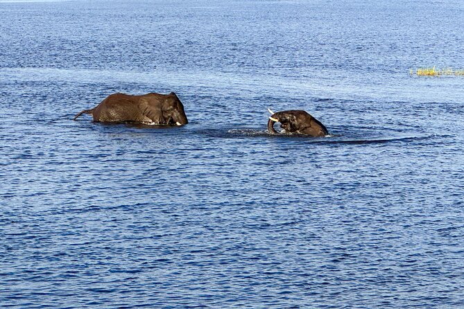 Shearwater River Song Luxury River Cruise - Accessible and Family-friendly Experience