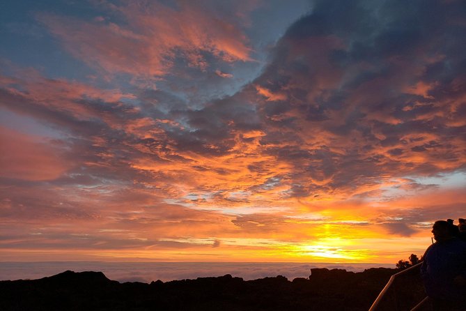 Shore Excursion: Haleakala Sunrise Tour for Pride of America Passengers - Experience Highlights