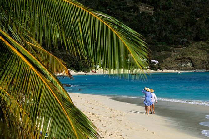 Shore Excursion: Jost Van Dyke Island Beach Escape - Traveler Reviews and Feedback