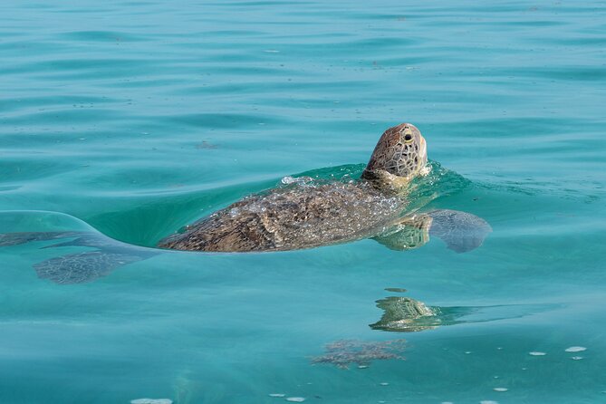 Sian Kaan Boat Tour: Full Day Experience - Tour Inclusions and Duration