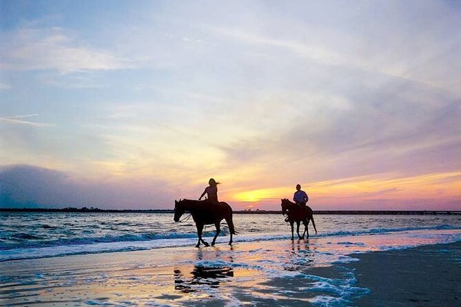 Side Horse Riding Review: Beach and Forest Experience - Management Response