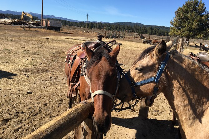 Sierra Histroric Tour & Horseback Riding From Reno - Preparing for the Adventure
