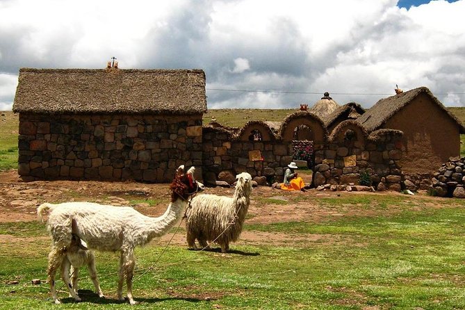 Sillustani Tombs Excursion - Cancellation and Booking