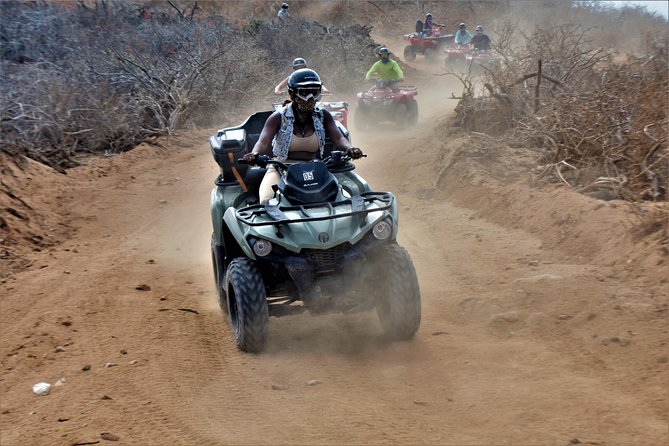Single ATV Tour From Migriño Beach & Desert - Booking Information