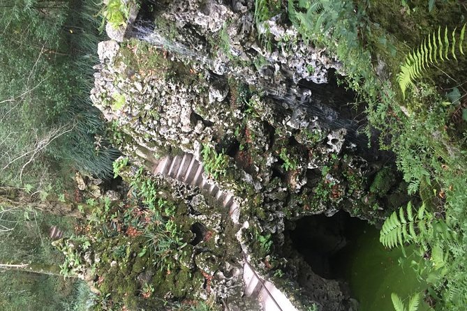 Sintra and Cascais With a Local Guide - Group Tour Starting From Sintra - Traveler Reviews and Feedback