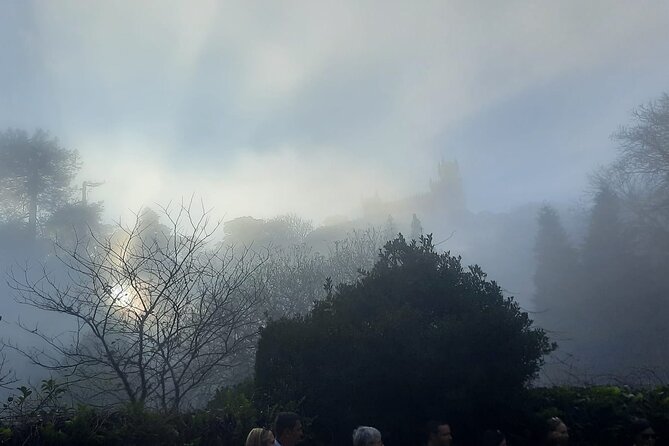 Sintra Palaces and Forest Private Tour - Quinta Da Regaleira