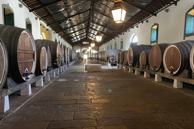 Sintra, Pena Palace and Wine Tasting Review - Traveler Reviews