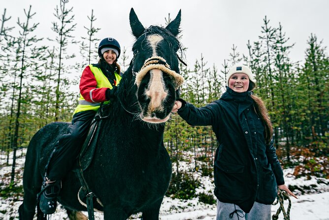 Small-Group Arctic Circle Horse Riding From Rovaniemi - Accessibility and Participation