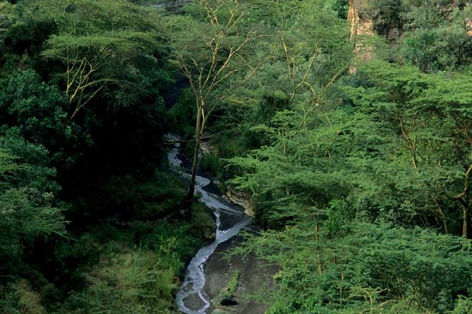 Small Group Budget Tour to Hells Gate National Park and Lake Naivasha Boat Ride - Getting to the Tour