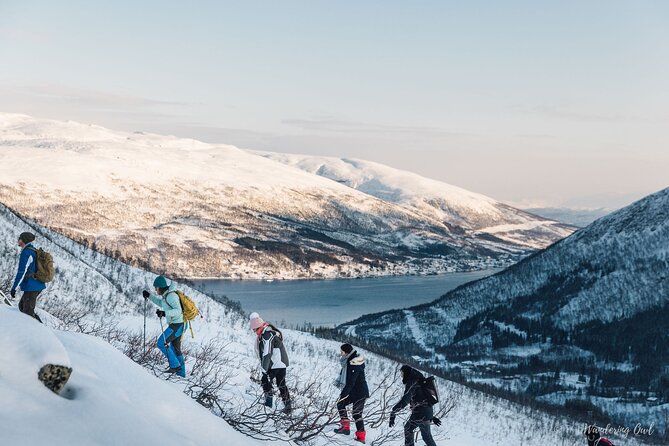 Small Group Citizen Science Hike in Tromso - Pricing Information