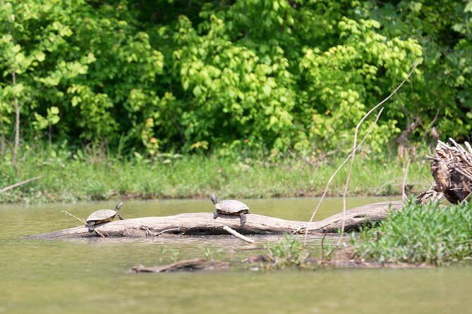 Small Group Clear Kayak Tour of Old Hickory Lake - Pricing and Inclusions