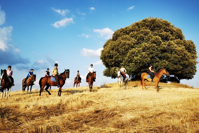 Small-Group Horseback Tour of Tuscany  - Siena - Landscape and Terrain