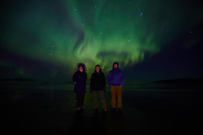 Small Group Hunting for the Northern Lights in Reykjavík EngRus - Accessibility Features
