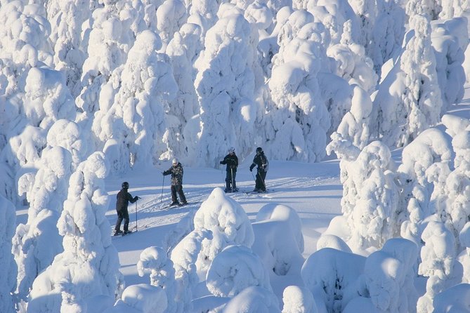 Small-Group Lapland Cross Country Ski - Important Activity Information