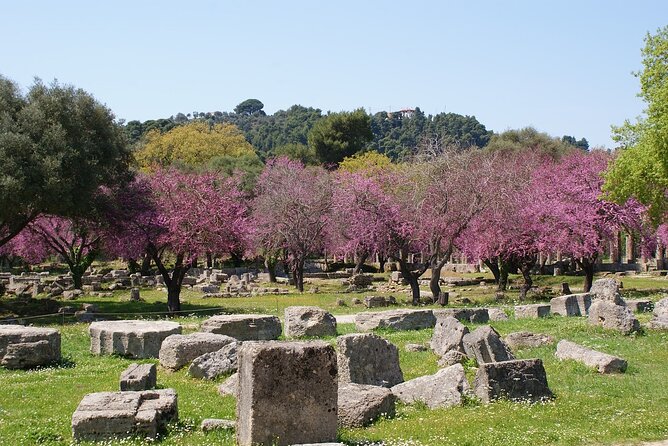 Small Group Shore Excursion at Ancient Olympia From Katakolo Port - Reviews and Feedback