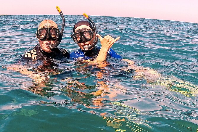 Small-Group Snorkel Adventure in San Jose Del Cabo - Memorable Wildlife Sightings