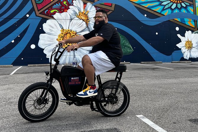 Smart Tour: Dallas Mural E-Bike Tour - Pricing Information
