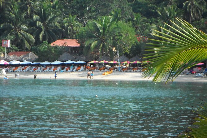 Snorkel Tour in Las Gatas Water Break - Pickup and Tour Schedule