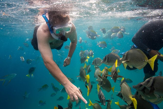 Snorkel Tour to Pelican Rock by Glass-Bottom Boat With Souvenir Photos - Boat Ride Scenery