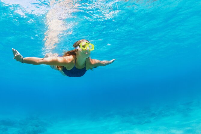 Snorkeling and Dolphin Watching Experience in Destin - Overall Experience and Suitability