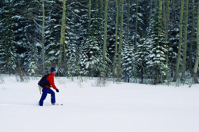 Snowshoe Rental at Tremblant - Group Sizes and Accessibility